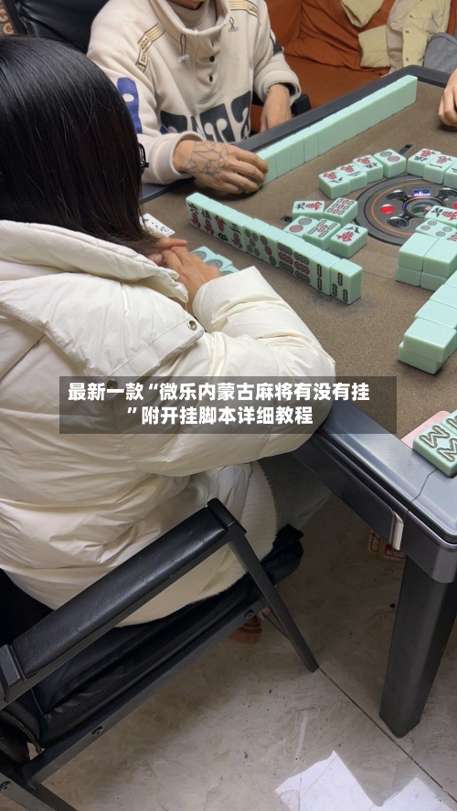 最新一款“微乐内蒙古麻将有没有挂”附开挂脚本详细教程-第2张图片