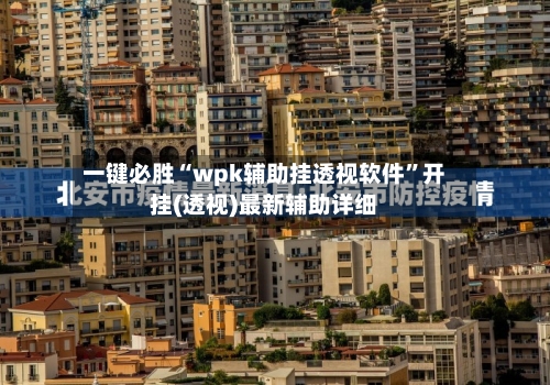 一键必胜“wpk辅助挂透视软件”开挂(透视)最新辅助详细-第2张图片