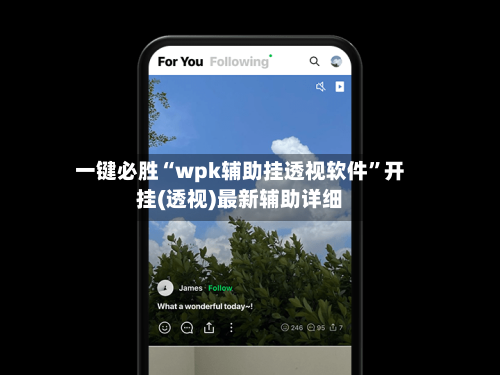 一键必胜“wpk辅助挂透视软件	”开挂(透视)最新辅助详细-第3张图片
