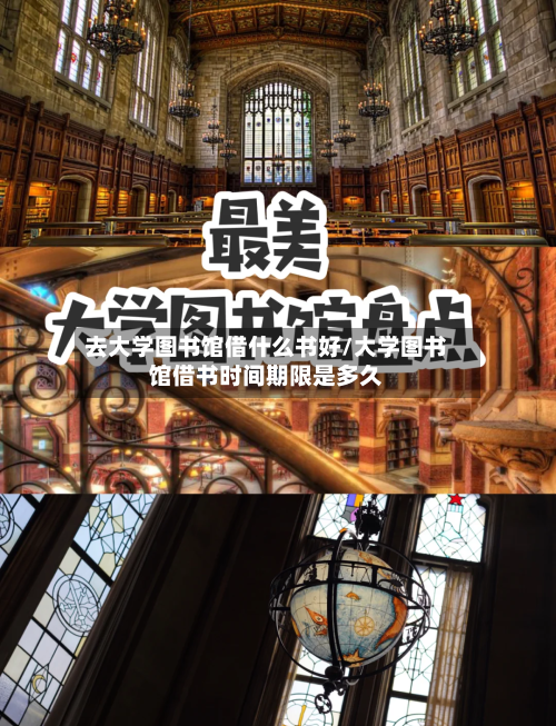 去大学图书馆借什么书好/大学图书馆借书时间期限是多久-第3张图片