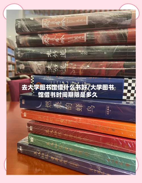 去大学图书馆借什么书好/大学图书馆借书时间期限是多久-第2张图片