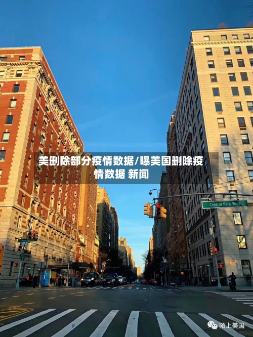 美删除部分疫情数据/曝美国删除疫情数据 新闻-第2张图片