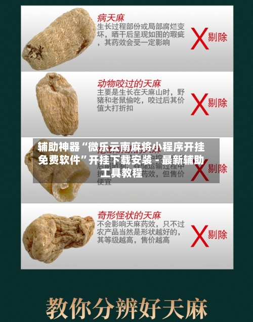 辅助神器“微乐云南麻将小程序开挂免费软件”开挂下载安装 - 最新辅助工具教程-第2张图片