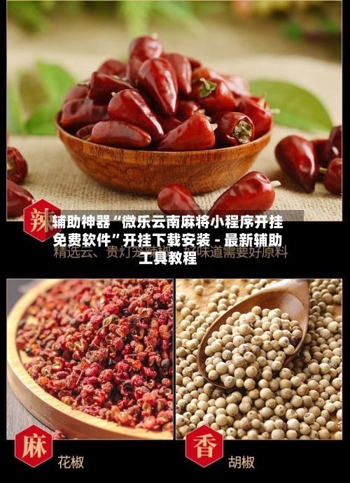 辅助神器“微乐云南麻将小程序开挂免费软件	”开挂下载安装 - 最新辅助工具教程-第3张图片