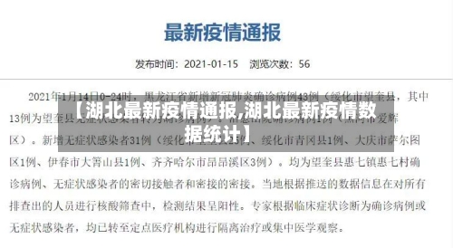 【湖北最新疫情通报,湖北最新疫情数据统计】-第3张图片