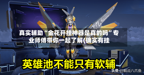 真实辅助“金花开挂神器是真的吗”专业师傅带你一起了解(确实有挂-第2张图片