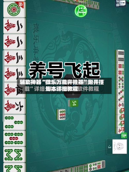 辅助神器“微乐万能开挂器”附开挂脚本详细教程-第2张图片