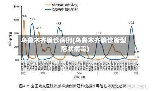 乌鲁木齐确诊病例(乌鲁木齐确诊新型冠状病毒)-第2张图片
