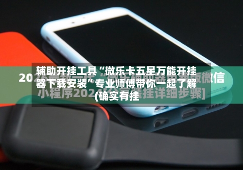 辅助开挂工具“微乐卡五星万能开挂器下载安装	”专业师傅带你一起了解(确实有挂-第2张图片