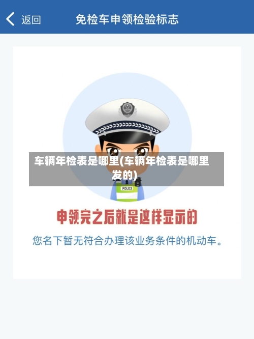 车辆年检表是哪里(车辆年检表是哪里发的)-第1张图片