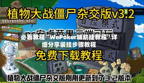 必看教程“WePoker辅助挂教程”详细分享装挂步骤教程-第3张图片