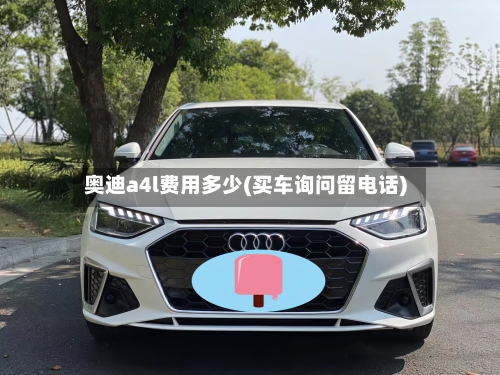 奥迪a4l费用多少(买车询问留电话)-第2张图片