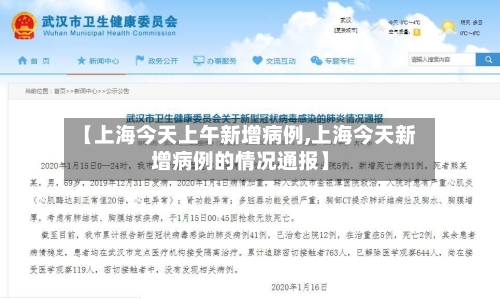 【上海今天上午新增病例,上海今天新增病例的情况通报】-第2张图片