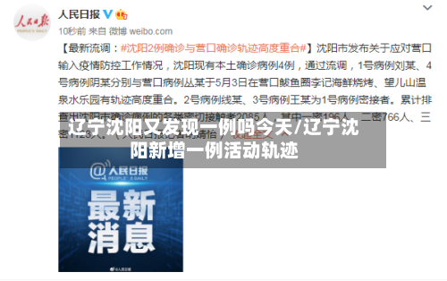 辽宁沈阳又发现一例吗今天/辽宁沈阳新增一例活动轨迹-第2张图片