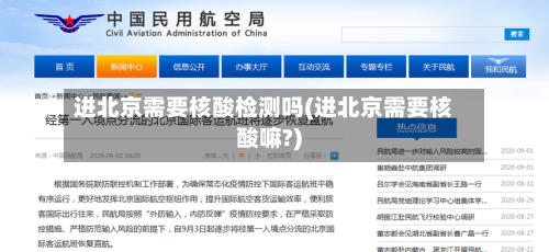 进北京需要核酸检测吗(进北京需要核酸嘛?)-第2张图片