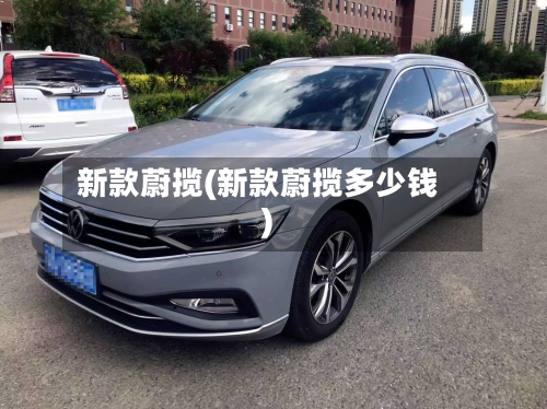 新款蔚揽(新款蔚揽多少钱)-第1张图片