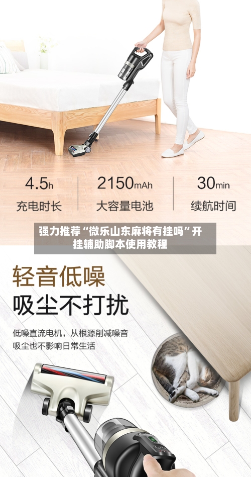 强力推荐“微乐山东麻将有挂吗”开挂辅助脚本使用教程-第2张图片