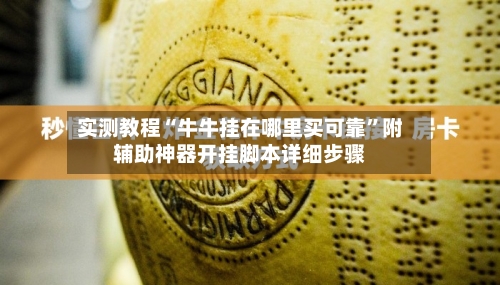 实测教程“牛牛挂在哪里买可靠”附辅助神器开挂脚本详细步骤-第2张图片