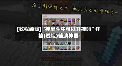 [教程经验]“神皇斗牛可以开挂吗	”开挂(透视)辅助神器-第1张图片