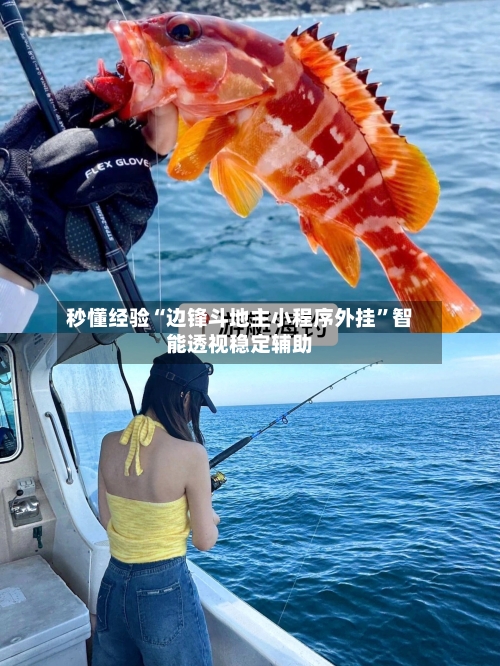秒懂经验“边锋斗地主小程序外挂	”智能透视稳定辅助-第2张图片