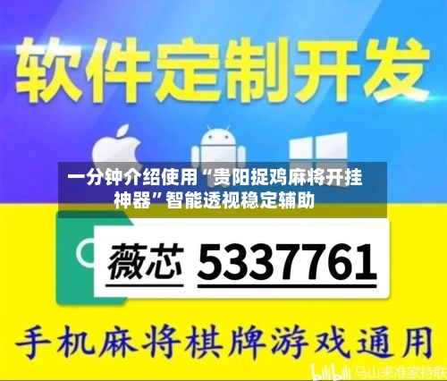 一分钟介绍使用“贵阳捉鸡麻将开挂神器”智能透视稳定辅助-第2张图片