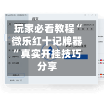 玩家必看教程“微乐红十记牌器”真实开挂技巧分享-第3张图片
