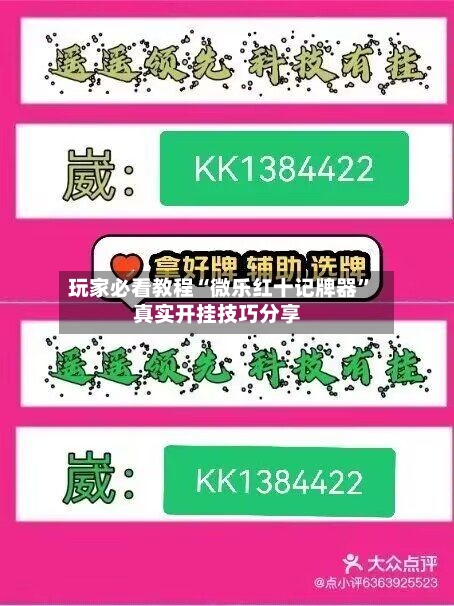 玩家必看教程“微乐红十记牌器”真实开挂技巧分享-第2张图片