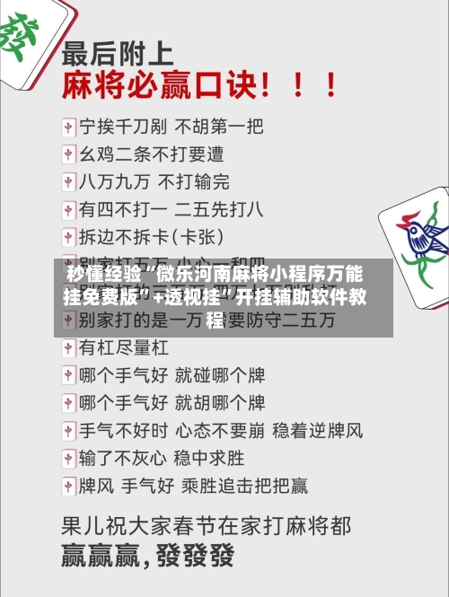 秒懂经验“微乐河南麻将小程序万能挂免费版”+透视挂	”开挂辅助软件教程-第3张图片