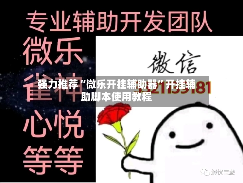 强力推荐“微乐开挂辅助器”开挂辅助脚本使用教程-第2张图片