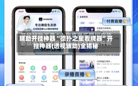 辅助开挂神器“德扑之星看牌器	”开挂神器{透视辅助}全揭秘-第2张图片