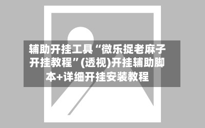 辅助开挂工具“微乐捉老麻子开挂教程”(透视)开挂辅助脚本+详细开挂安装教程-第3张图片
