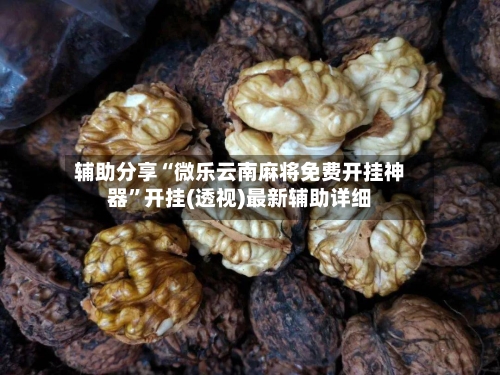 辅助分享“微乐云南麻将免费开挂神器”开挂(透视)最新辅助详细-第1张图片