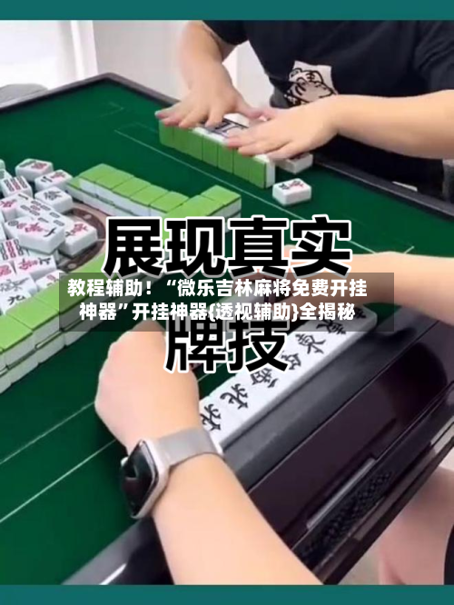 教程辅助！“微乐吉林麻将免费开挂神器”开挂神器{透视辅助}全揭秘-第3张图片