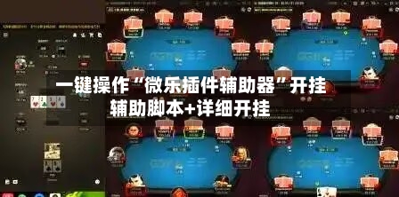 一键操作“微乐插件辅助器	”开挂辅助脚本+详细开挂-第1张图片