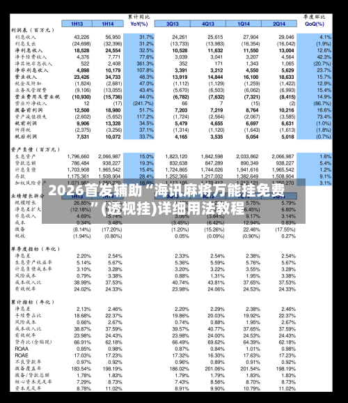 2026首发辅助“海讯麻将万能挂免费	”(透视挂)详细用法教程-第1张图片