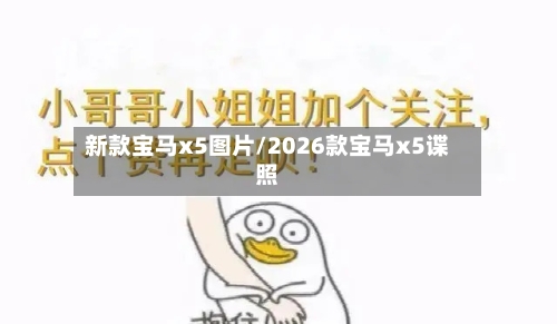 新款宝马x5图片/2026款宝马x5谍照-第1张图片