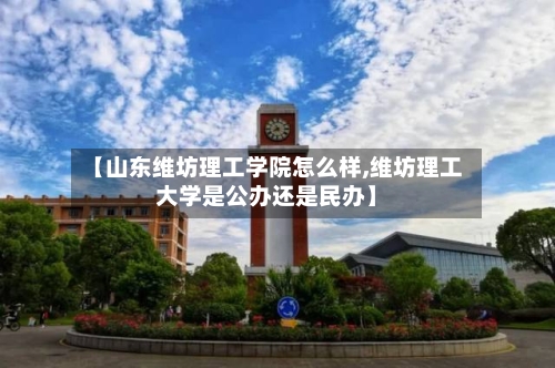 【山东维坊理工学院怎么样,维坊理工大学是公办还是民办】-第1张图片