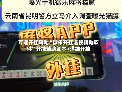 万能开挂辅助“微乐开挂透视辅助软件	”开挂辅助脚本+详细开挂-第1张图片