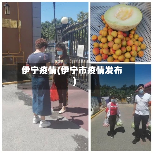伊宁疫情(伊宁市疫情发布)-第1张图片
