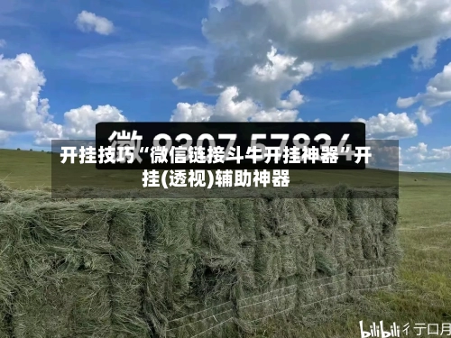 开挂技巧“微信链接斗牛开挂神器	”开挂(透视)辅助神器-第1张图片