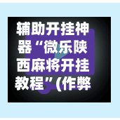 辅助开挂神器“微乐陕西麻将开挂教程	”(作弊)辅助透视教程-第2张图片