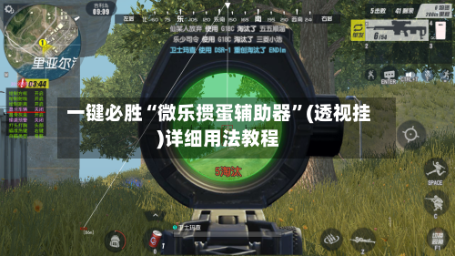 一键必胜“微乐掼蛋辅助器	”(透视挂)详细用法教程-第2张图片