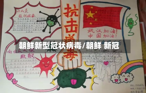 朝鲜新型冠状病毒/朝鲜 新冠-第1张图片
