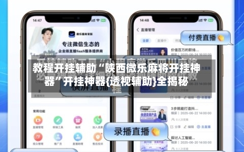 教程开挂辅助“陕西微乐麻将开挂神器”开挂神器{透视辅助}全揭秘-第3张图片