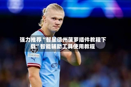 强力推荐“智星德州菠萝插件教程下载”智能辅助工具使用教程-第1张图片