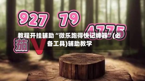 教程开挂辅助“微乐跑得快记牌器	”(必备工具)辅助教学-第1张图片