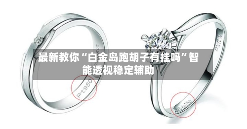 最新教你“白金岛跑胡子有挂吗”智能透视稳定辅助-第1张图片