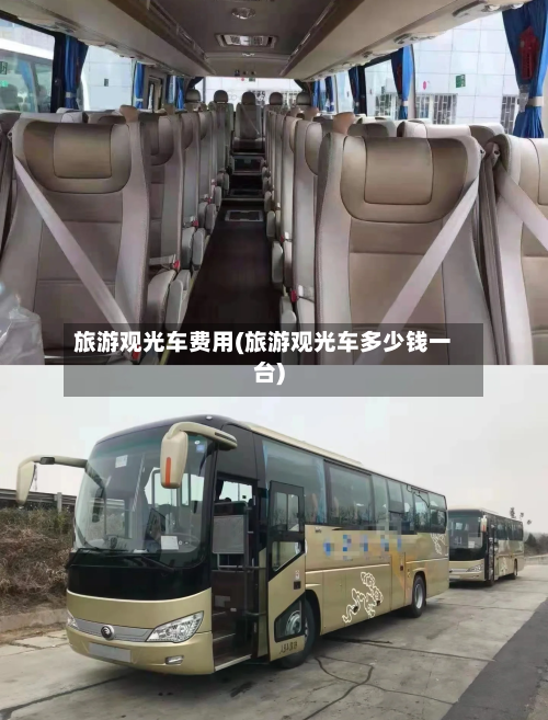 旅游观光车费用(旅游观光车多少钱一台)-第1张图片