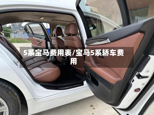 5系宝马费用表/宝马5系轿车费用-第2张图片
