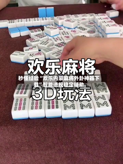 秒懂经验“欢乐内蒙麻将外卦神器下载	”智能透视稳定辅助-第1张图片